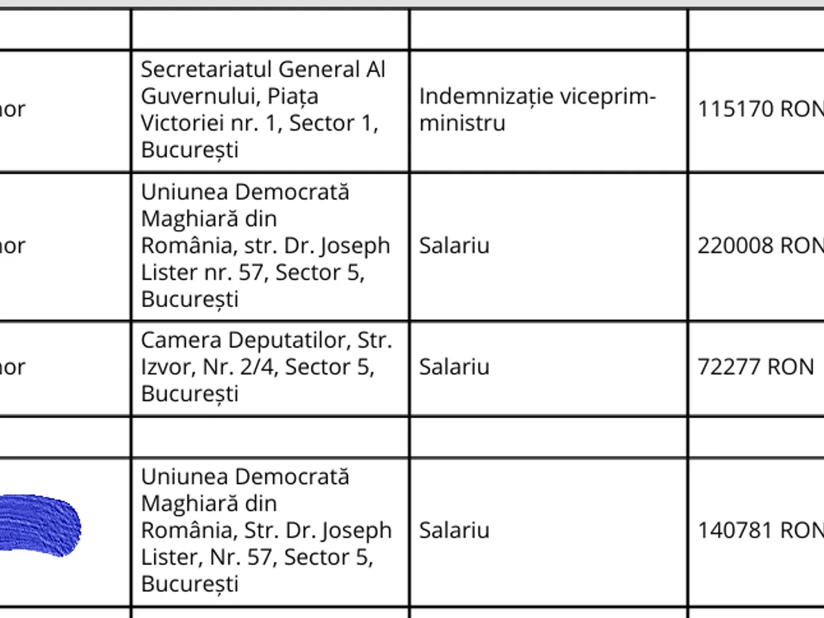 Declarație de avere Kelemen Hunor - Foto: ANI.ro