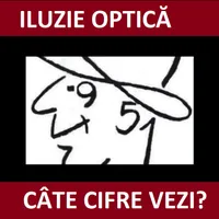 Iluzie optică Foto: Newsweek România