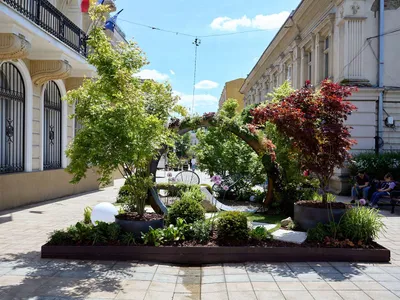 Expoziție - Foto: Arhiva