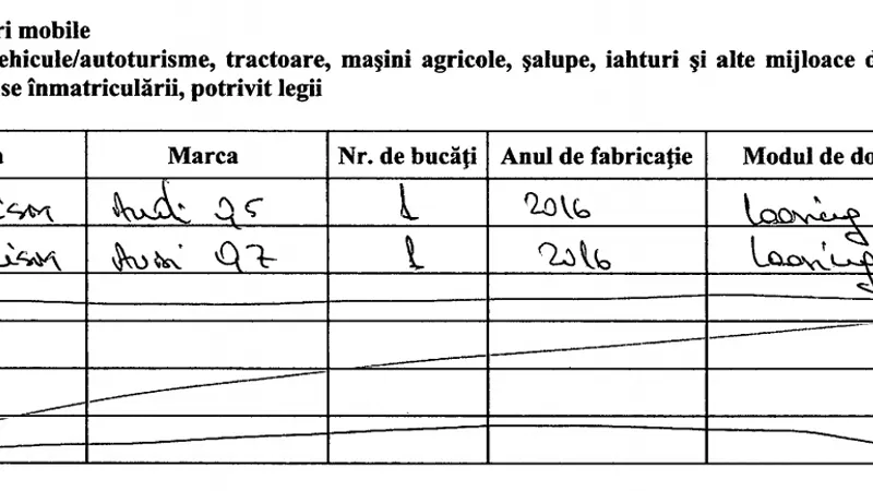 Sursa: Declarație de avere Marcel Pavel / ANI