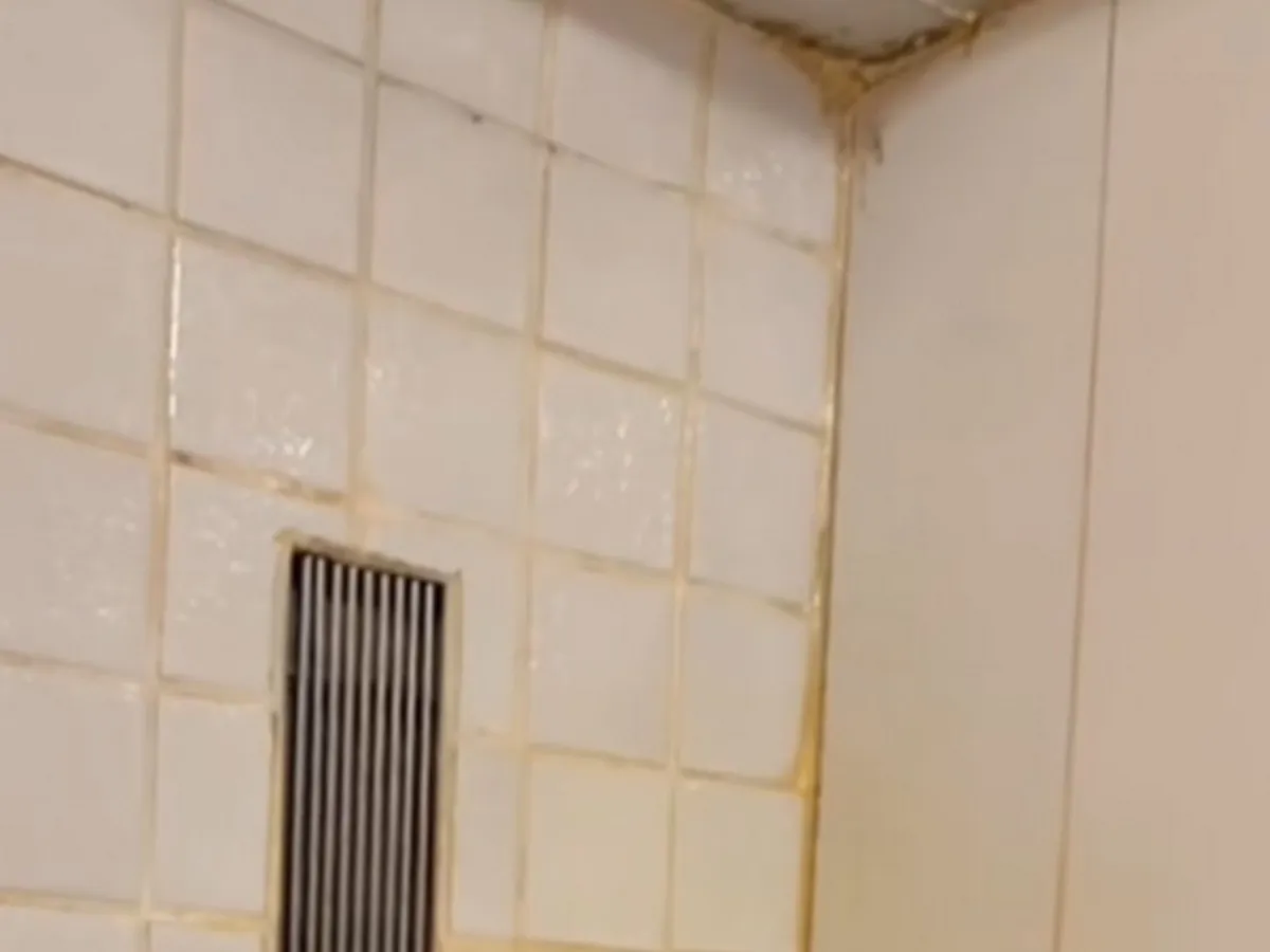 „Răsfăț”, la 300 €/zi, la celebrele hoteluri Panoramic, Belvedere și Amfiteatru: mucegai, duș spart - Foto: captură video