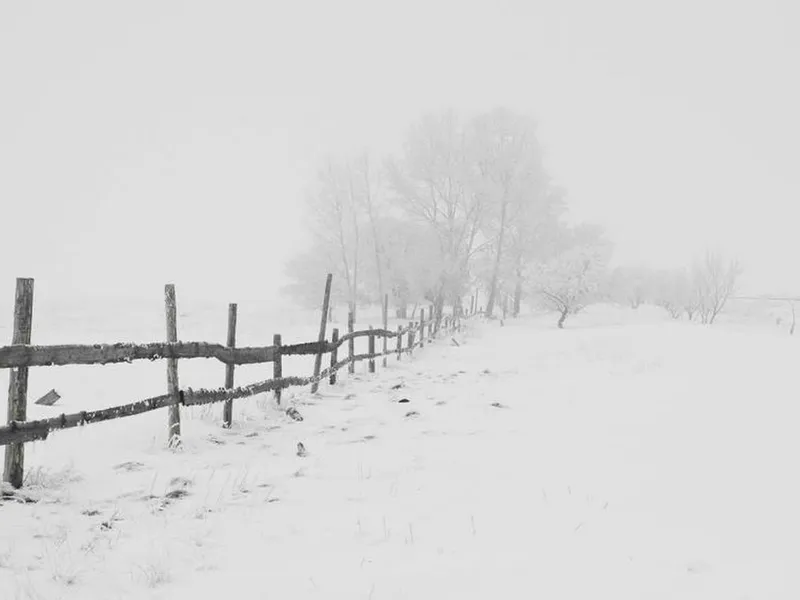 METEO Atenție, șoferi! E Cod galben de vânt puternic şi viscol în 20 de judeţe - Foto: Pexels (fotografie cu caracter ilustrativ)