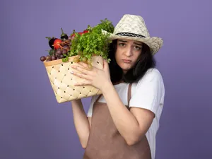 Leguma uitată care curăță ficatul, te ajută să slăbești și îți întărește oasele. Bunica o mânca - Foto: Freepik (imagine cu rol ilustrativ)