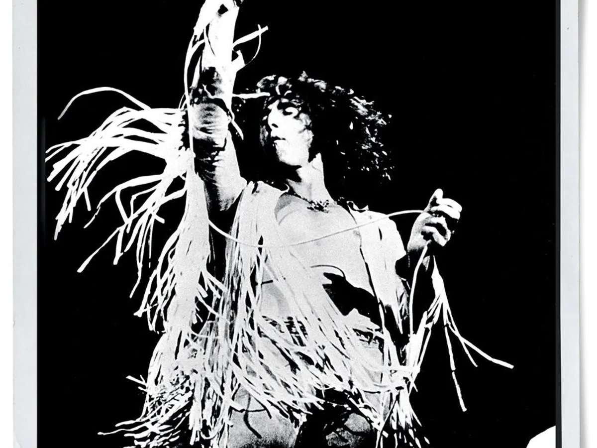 Printre cele mai mari staruri ale festivalului s-au numărat Rager Daltrey (sus) de la the Who, care a interpretat opera Tommy