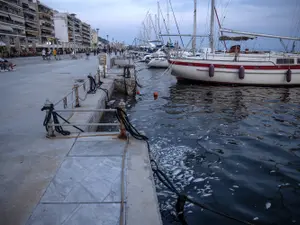 Stare de urgenţă într-o destinație turistică iubită de români. Tone de peşti morţi în portul Volos  - Foto: profimedia Images