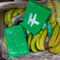 840 de kilograme de cocaină, confiscate în Cehia. / Foto: agerpres.ro