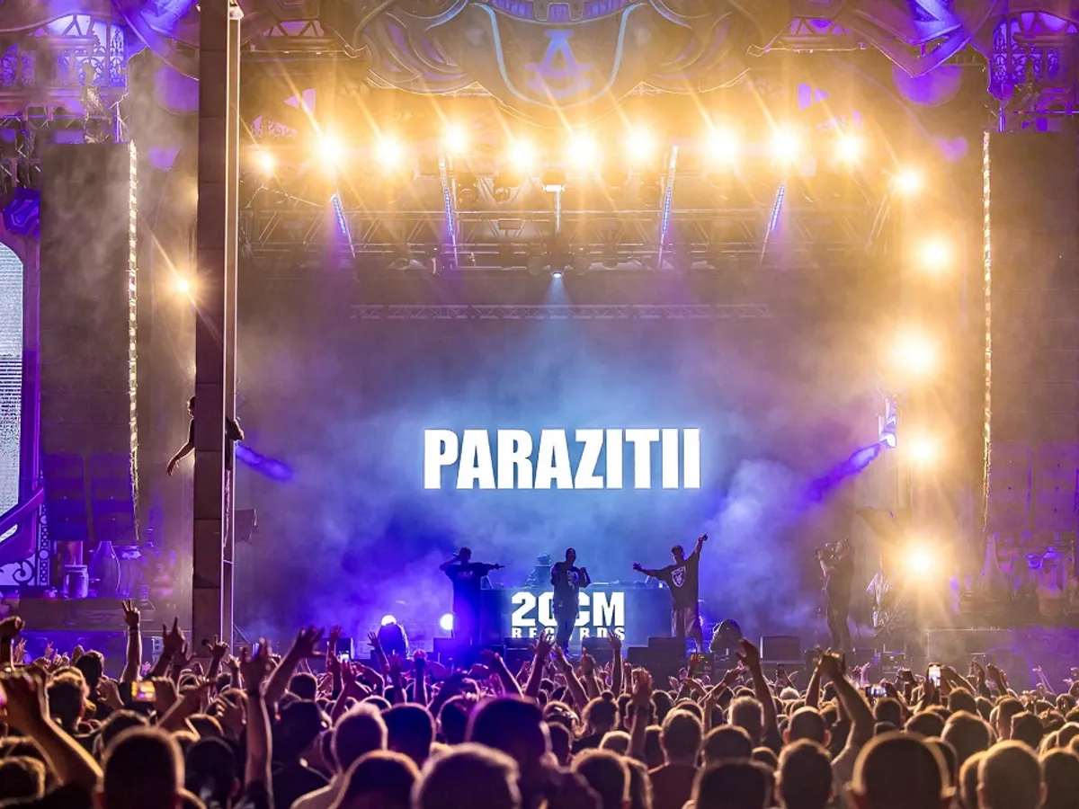 Paraziții au concertat și au fost amendați la Untold Foto: Facebook/Paraziții Oficial