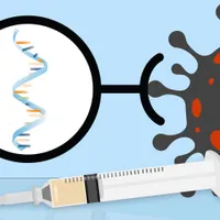 EMA recomandă adăugarea inflamaţiilor cardiace pe lista efectelor adverse ale vaccinurilor cu mARN. / Foto: news.mit.edu