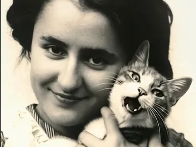 Motan - Foto: ziaruldeiasi