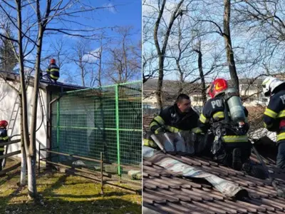 Incendiu puternic la Grădina Zoologică din Râmnicu Vâlcea. Mai multe animale au fost evacuate - Foto: Colaj/ ISU Vâlcea