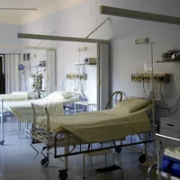 Un ieșean mușcat de urs a ajuns la boli infecțioase - Foto: Pexels - imagine cu caracter ilustrativ
