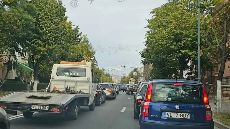 trafic masini