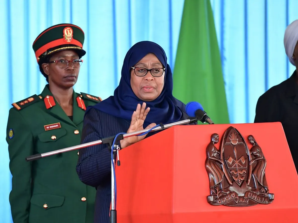 Samia Suluhu Hassan a declanșat un val de critici. FOTO: Facebook