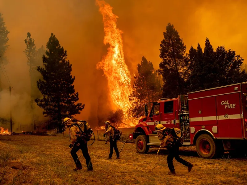 "Oak Fire" a izbucnit vineri în comitatul Mariposa, în apropierea Parcului naţional Yosemite şi a uriaşilor săi arbori sequoia. / Foto: Profimedia