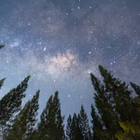 Fenomenul astronomic inedit care va avea loc în această noapte. Unde poți merge pentru a-l vedea? - Foto: Profimedia Images (imagine cu rol ilustrativ)