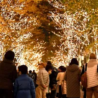 Japonia - Foto: BBC