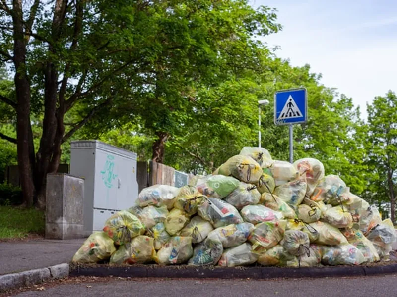 Românii aruncă în fiecare an aproximativ 2,55 de milioane de tone de mâncare/FOTO: Unsplash