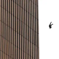 9/11 Un bărbat cade din World Trade Center, după ce două avioane au lovit turnurile gemene pe 11 septembrie 2001. Cinci români s-au aflat printre cele 3000 de victime ale atacului terorist - Foto: Getty Images
