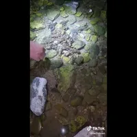 Un grup de tineri este căutat de autorități după ce a pescuit raci de ponoare pe Valea Iadei. / Foto: captură video