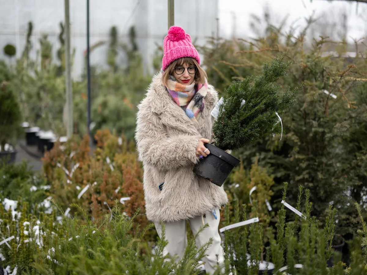 Femeie care duce un brad - Foto: Freepik (Imagine cu rol ilustrativ)