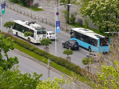 Autobuze Foto:Shutterstock