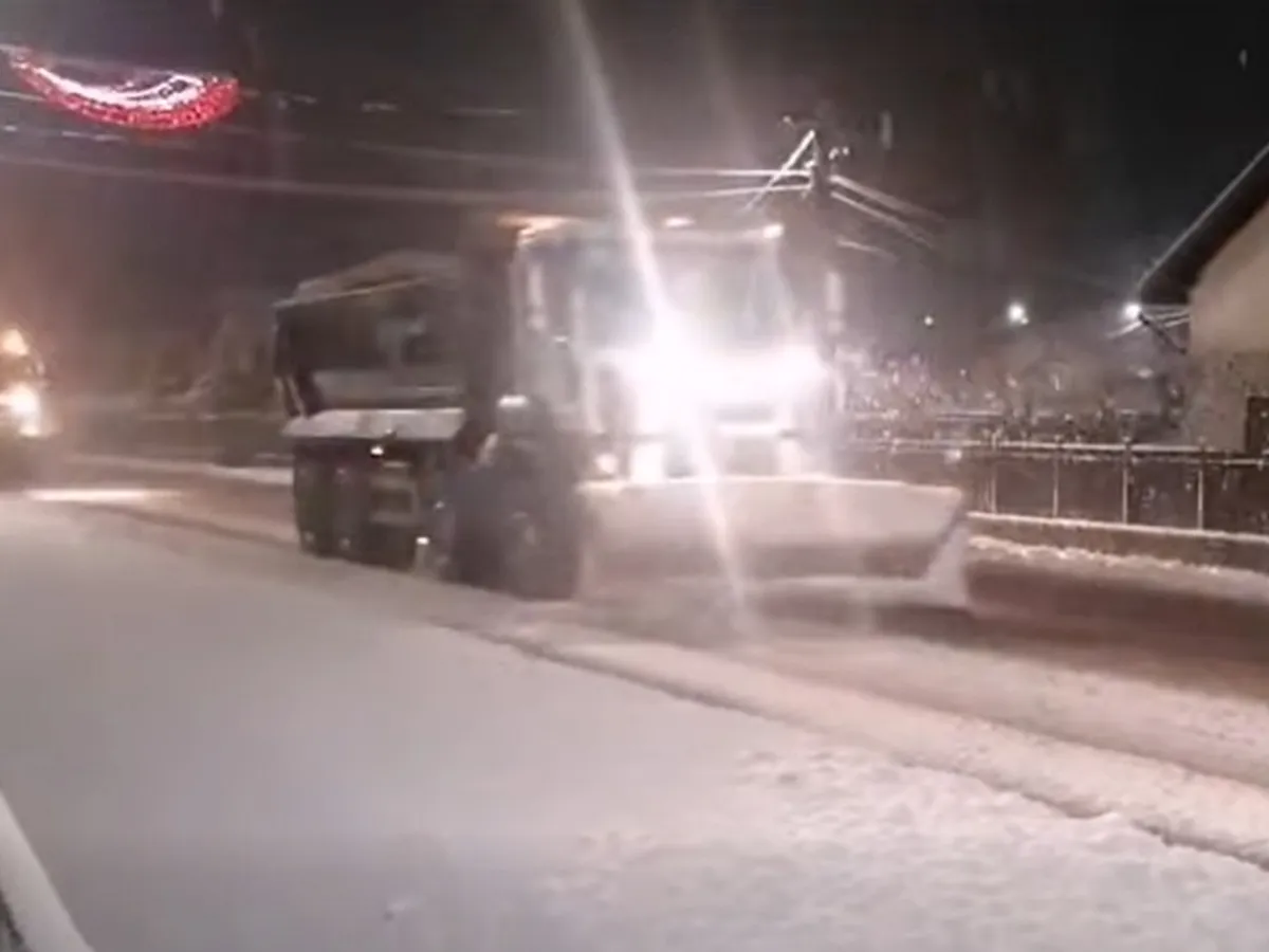 VIDEO Hoas în trafic, în mai multe zone din România, din cauza zăpezii: copaci căzuți, drumuri blocate