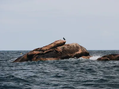 Ocean Foto: Freepik (imagine cu rol ilustrativ)