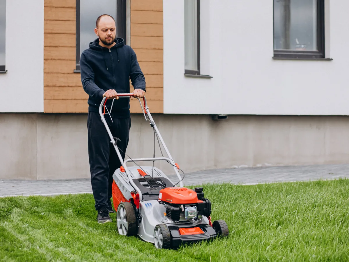 Când să tunzi gazonul - dimineața sau seara? Vezi cum să-l pregătești înainte de vară. Nu se va usca