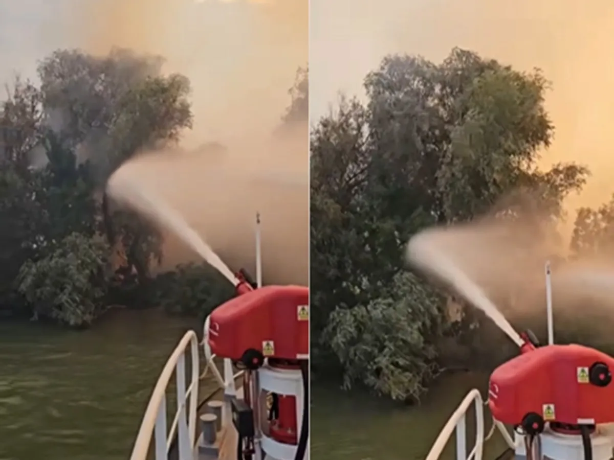 Incendiu în Delta Dunării - Foto: captură Facebook/ Raed Arafat