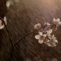 Cum va fi vremea de Florii și de Paște - Foto: Pixabay - cu rol ilustrativ