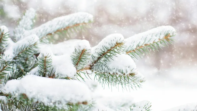 Trasee montane închise din cauza ninsorilor din ultimele ore. Pe unde se poate circula Foto: Pexels (fotografie cu caracter ilustrativ)