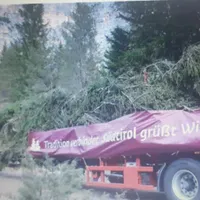 Tensiuni între Austria și Italia din cauza tăierii unui brad secular. L-au pus la Târgul de Crăciun Foto: captură video RTV