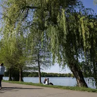Descoperire macabră în lacul Herăstrău - Foto: INQUAM Photos/Octav Ganea - cu rol ilustrativ