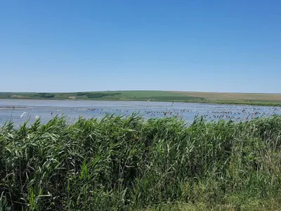 Iaz - Foto: ziaruldeiasi