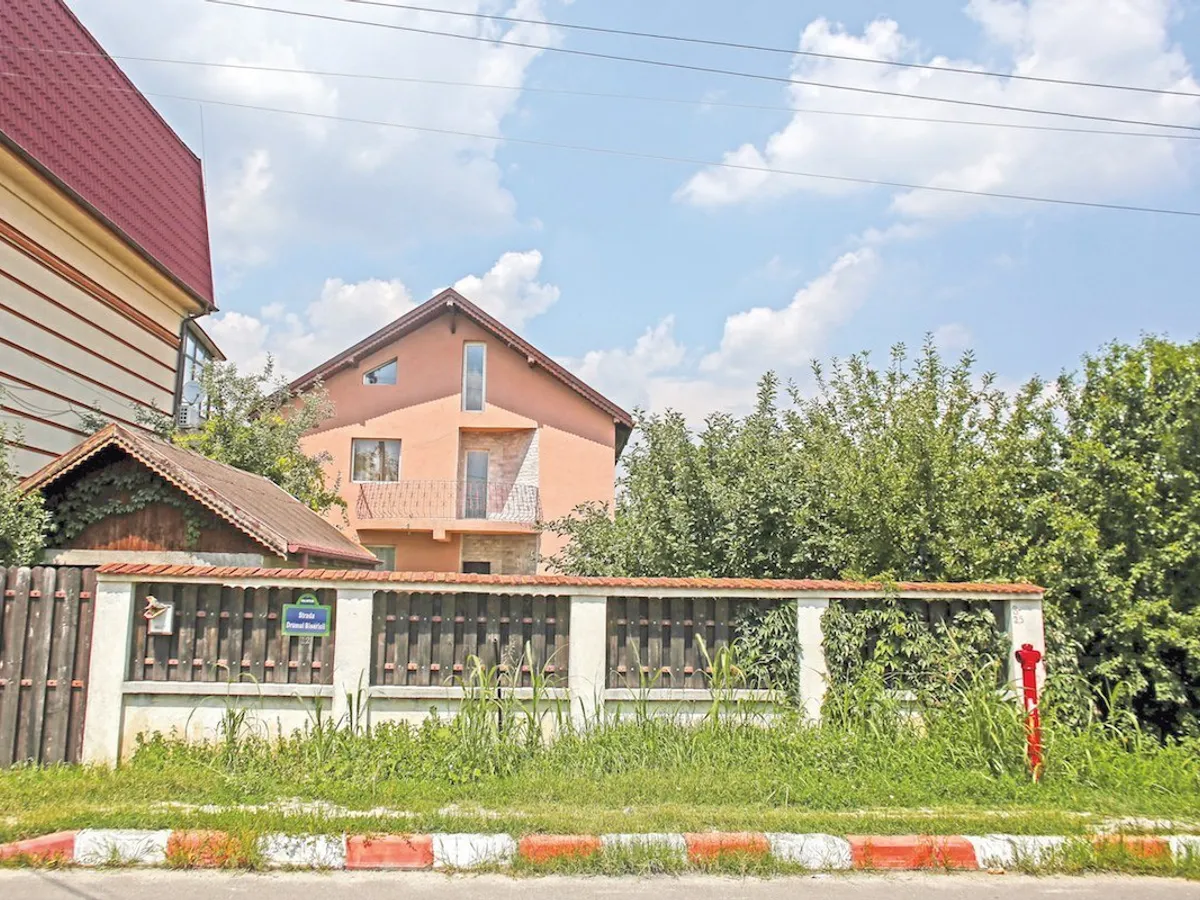 Vila din Voluntari, primită de fiul șefului PSD de la bunici, are etaj și este urâtă.