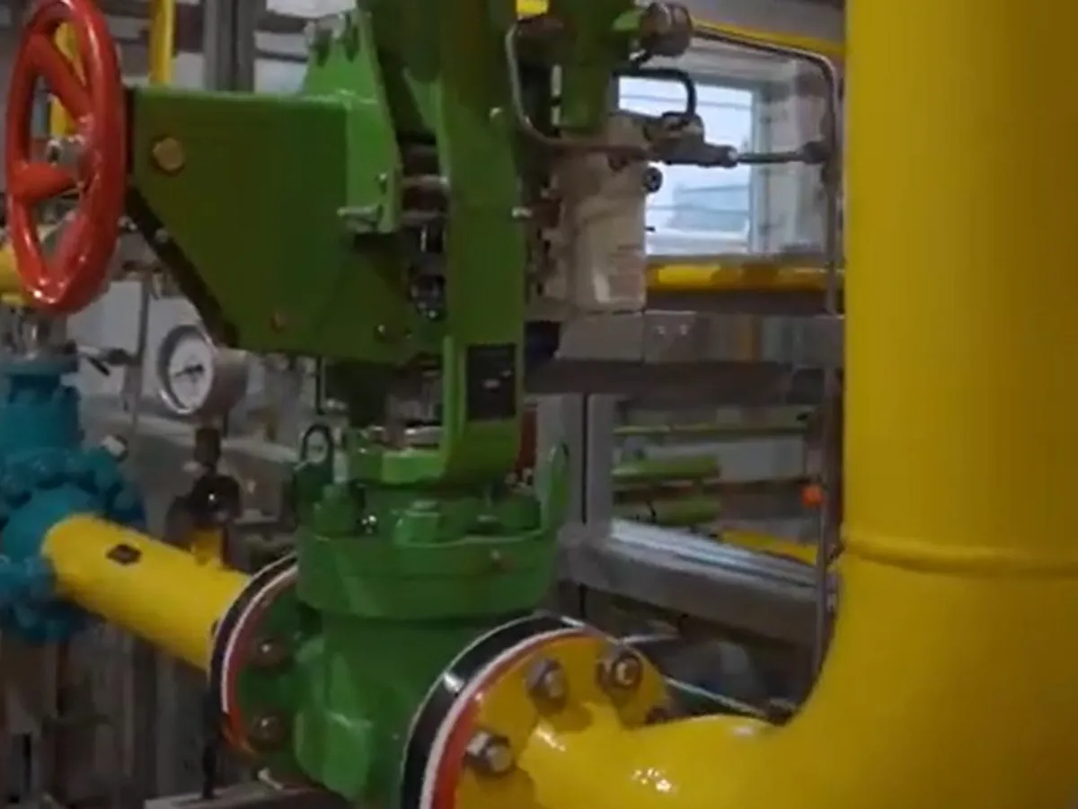 Unii europeni au plătit gazul rusesc în ruble / foto: captură youtube.com