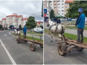 Cu căruța, în picioare, prin centrul orașului - Foto: Alba24.ro