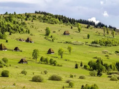 Cătunul Zăpodie - Foto: Marius Turc