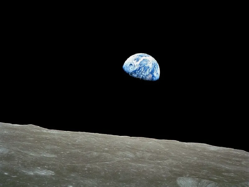 Care a fost prima specie ce a ajuns la Lună
