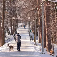 Vremea se încălzește de la jumătatea săptămânii/FOTO: tribuna.ro