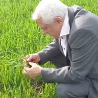 Petre Daea, ministrul Agriculturii Foto: Captură Facebook/Petre Daea (rol ilustrativ)