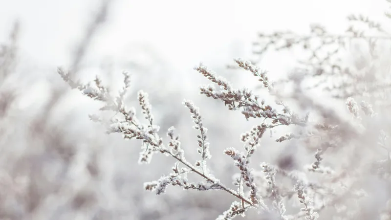 METEO Ce vreme va fi de 1 Decembrie? Va fi un ger aspru în unele orașe din țară Foto: Pexels (fotografie cu caracter ilustrativ)