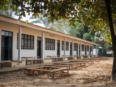 CJ Timiș: Patru tabere școlare, ajunse în ruină, vor fi preluate de Consiliul Județean și reabilitate - Foto: Freepik (Imagine cu rol ilustrativ)