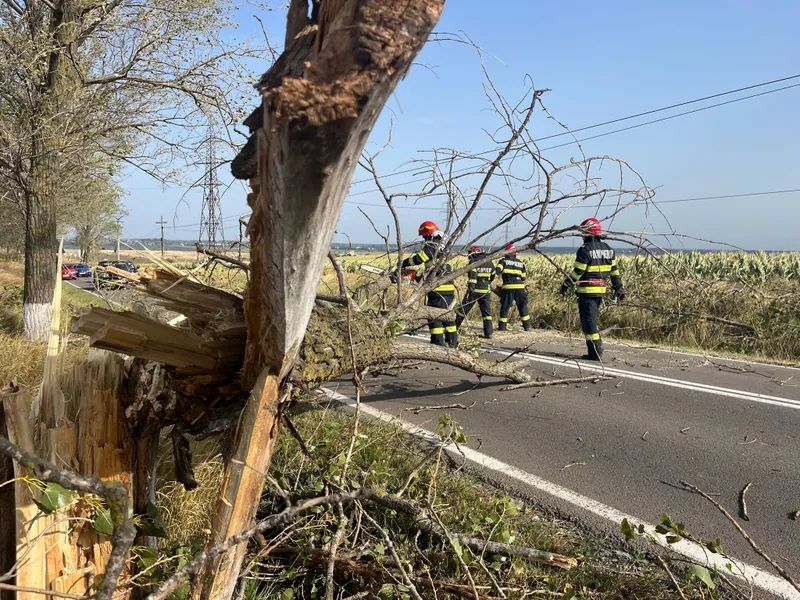 Sursa foto: ISU Tulcea