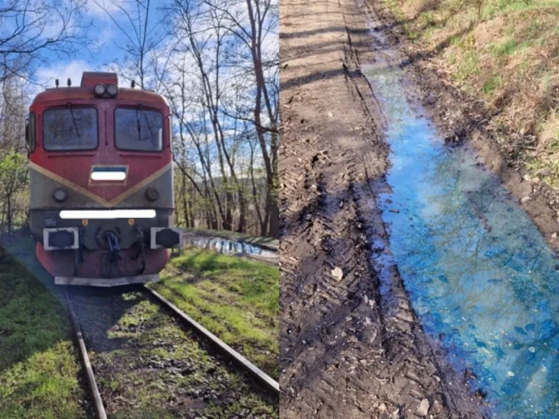 În urma accidentului, s-a spart rezervorul locomotivei şi s-au scurs cca 2 tone motorină în sol. - Foto: gazetavalceana.ro