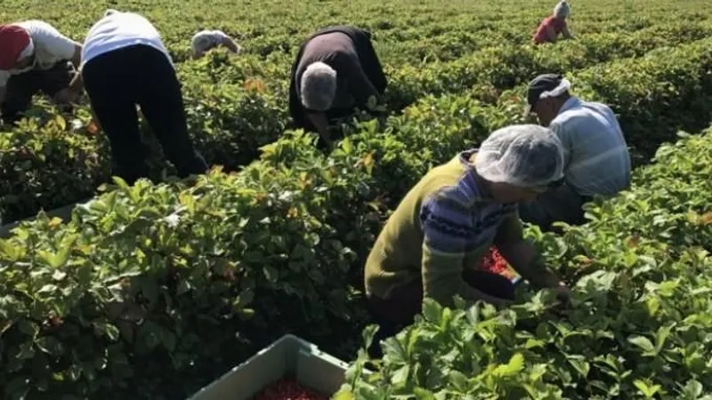 Venitul minim garantat, acordat încă 3 luni persoanelor vulnerabile care se angajează Foto: Stirile ProTV