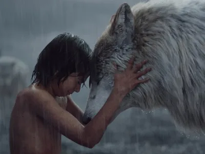 Cine e românul care a luat un Oscar pentru Cartea Junglei - Foto: Profimedia Images (cu rol ilustrativ)