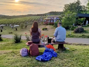 Petrecere la Velvet Winery, Dealu Mare ∙ Credit foto: Răzvan Avram