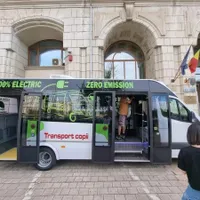 Criză? 35 de microbuze electrice școlare, cumpărate cu circa 200.000 € bucata. Unul diesel, 80.000 € - Foto: news.ro