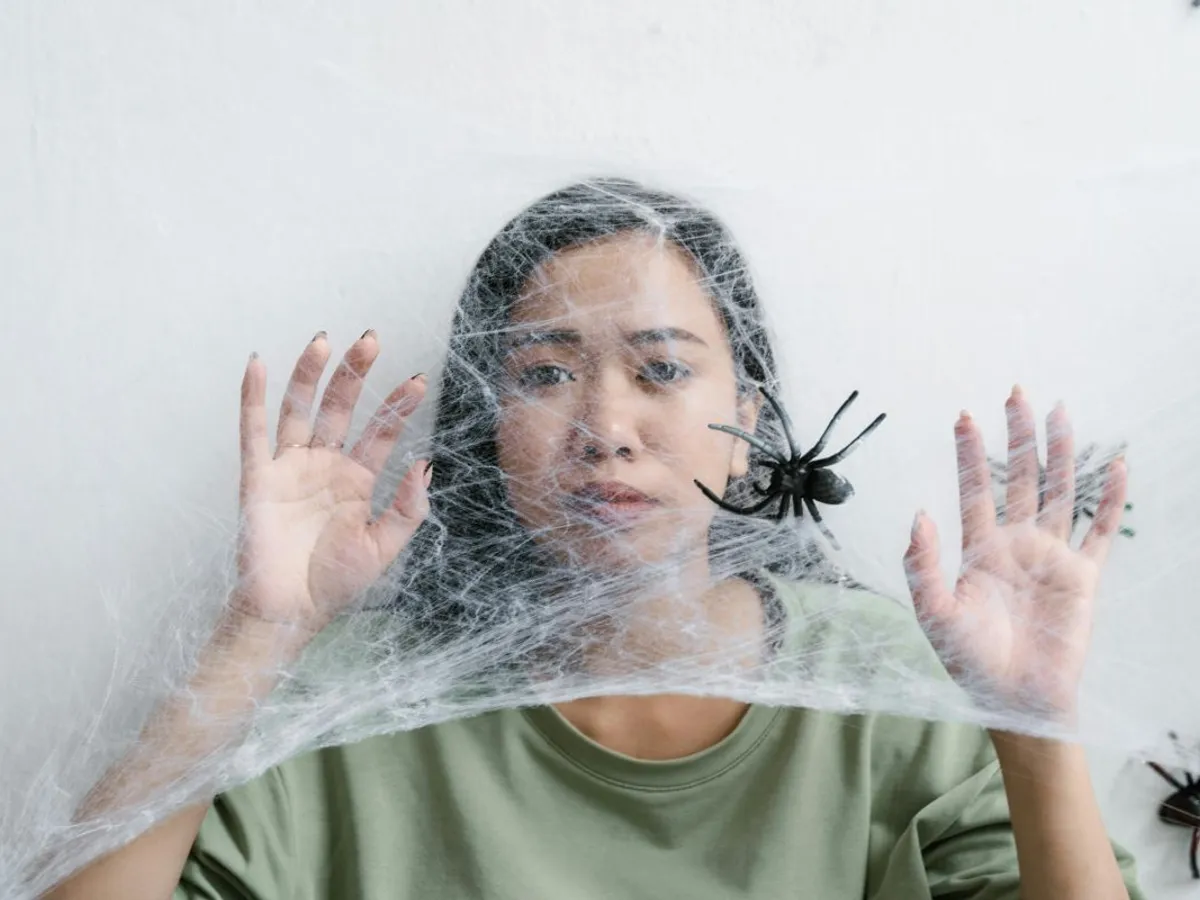 O tarantulă, un crocodil, un varan...Crescătorie amplă de reptile descoperită în oraşul Ştei, din Bihor